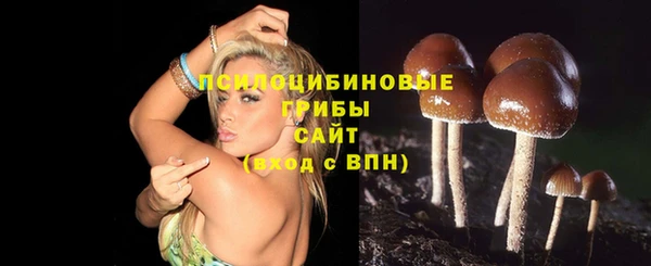 синтетический гашиш Ростов
