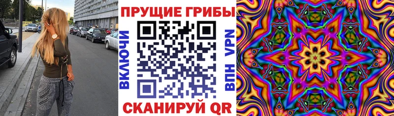 Галлюциногенные грибы Psilocybe  Богданович 
